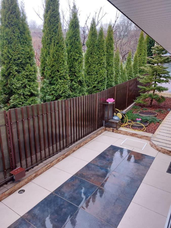 Târgu-Mureş Casa Negoiu 아파트 외부 사진