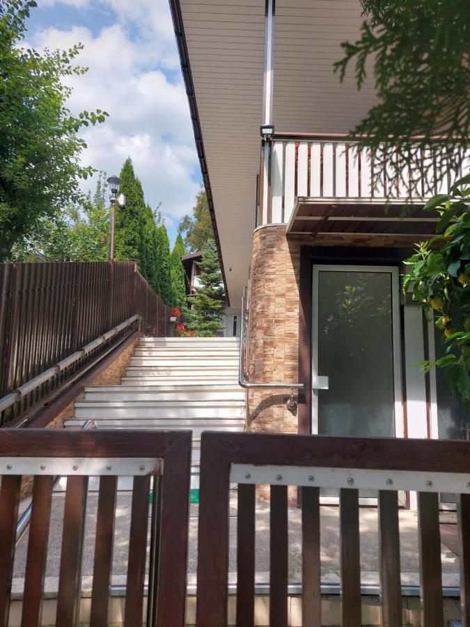 Târgu-Mureş Casa Negoiu 아파트 외부 사진